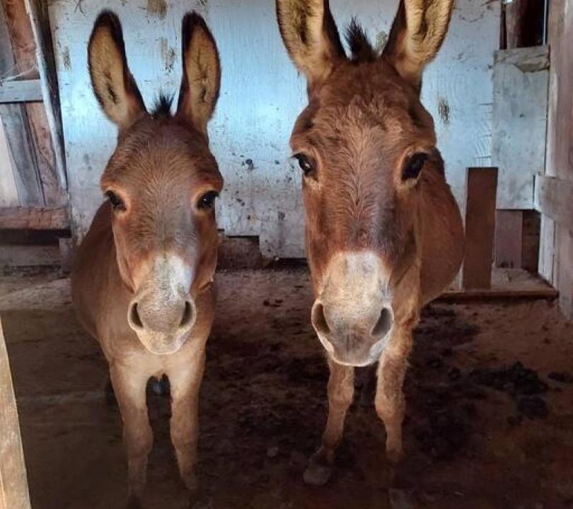 Photo of Others in Winston