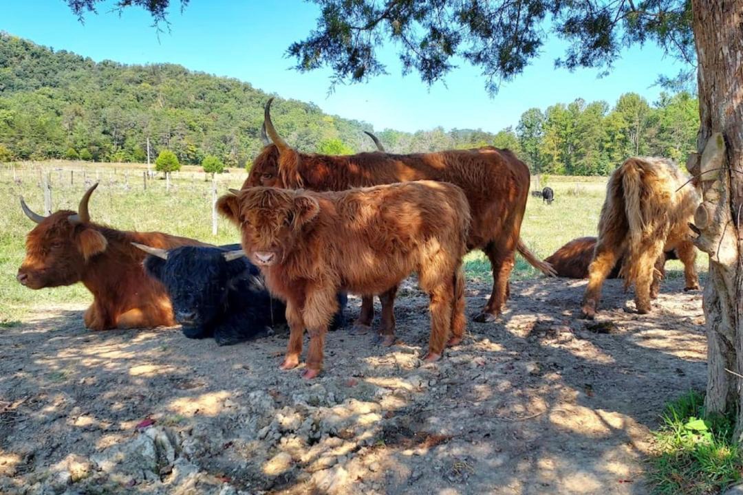 Photo of Others in Winston