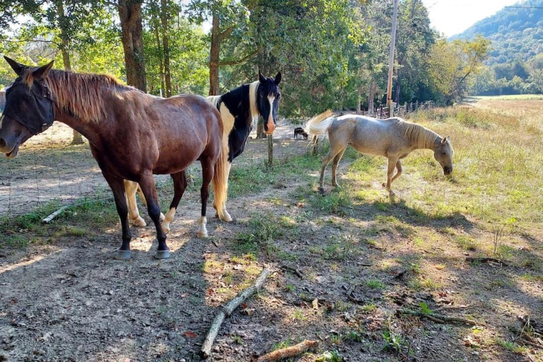 Photo of Others in Winston