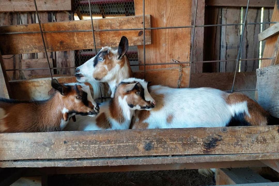 Photo of Others in Winston