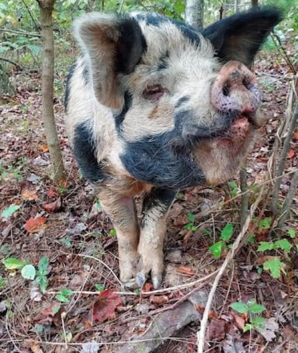 Photo of Others in Winston