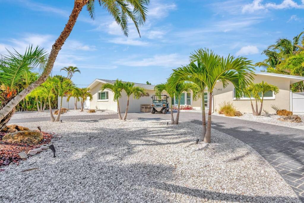 Photo of Others in Indian Rocks Beach