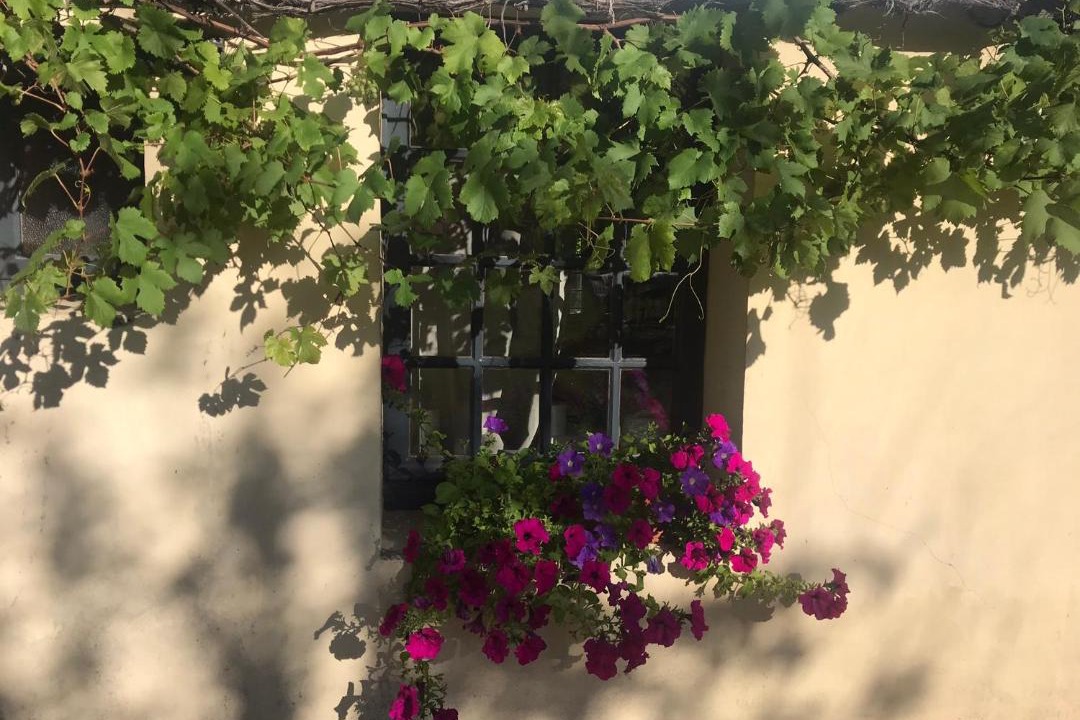 Photo of Others in Saint-Jean-de-Rebervilliers