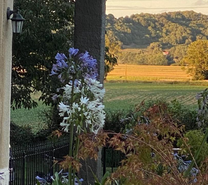 Photo of Others in Auriebat