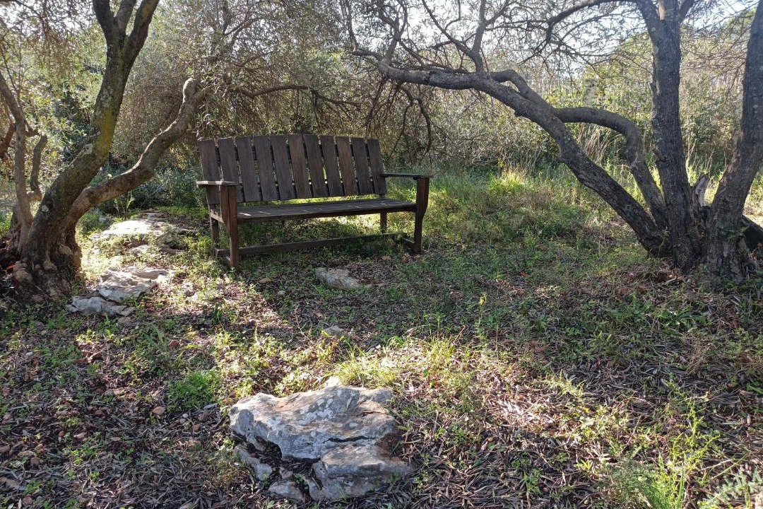 Photo of Others in Lunel