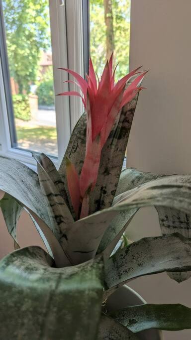 Photo of Others in Oakleigh