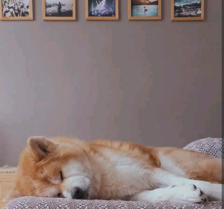 Photo of Others in Les Ponts-de-Ce