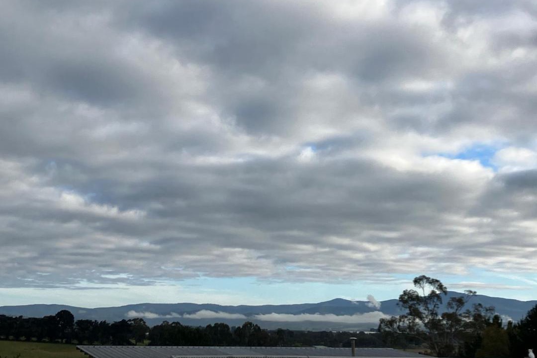 Photo of Others in Coldstream