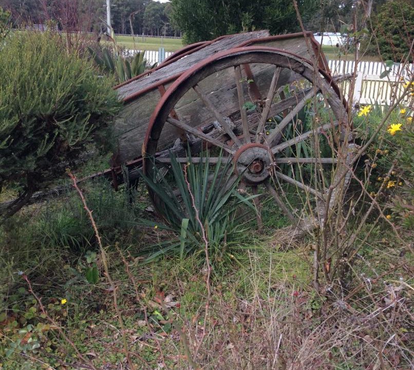 Photo of Others in Newmerella