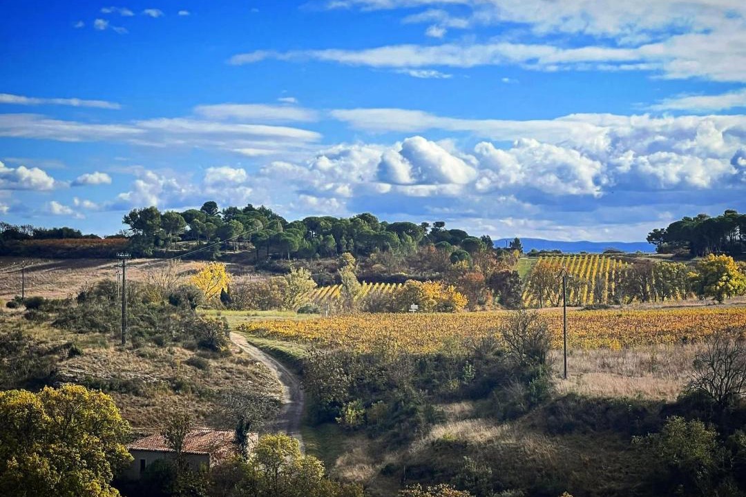 Photo of Others in Aragon