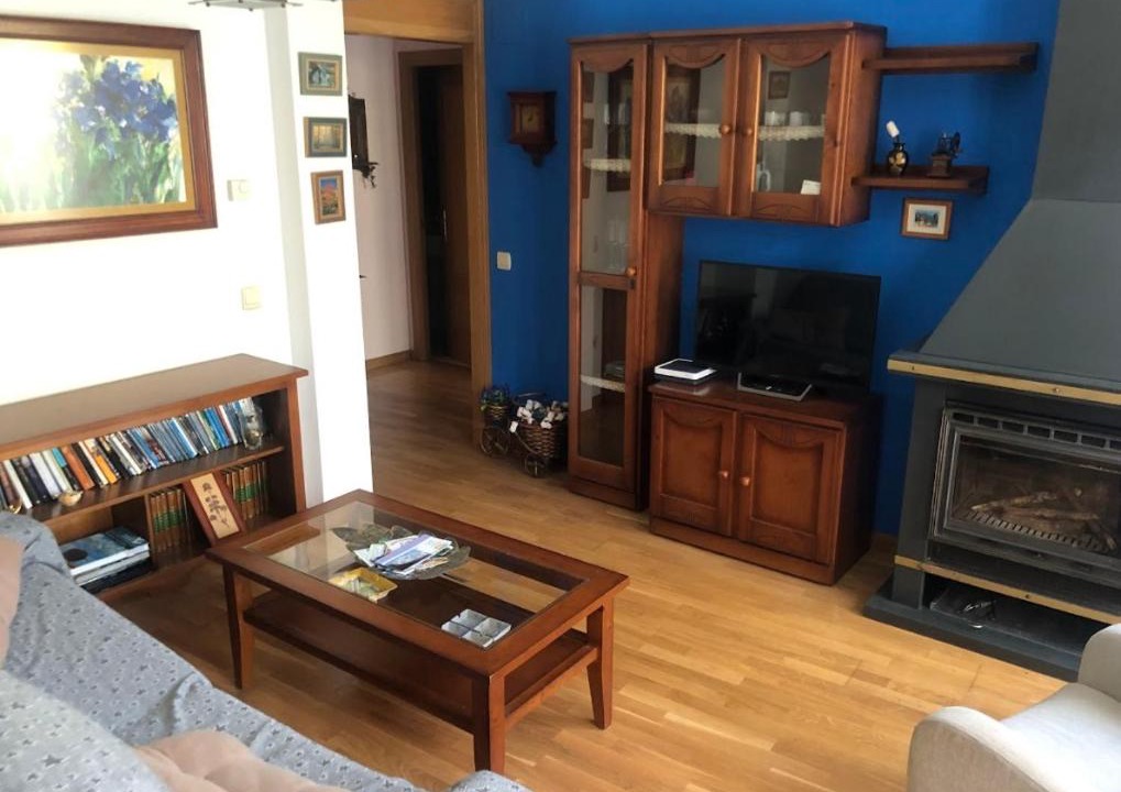 Photo of Livingroom in Broto