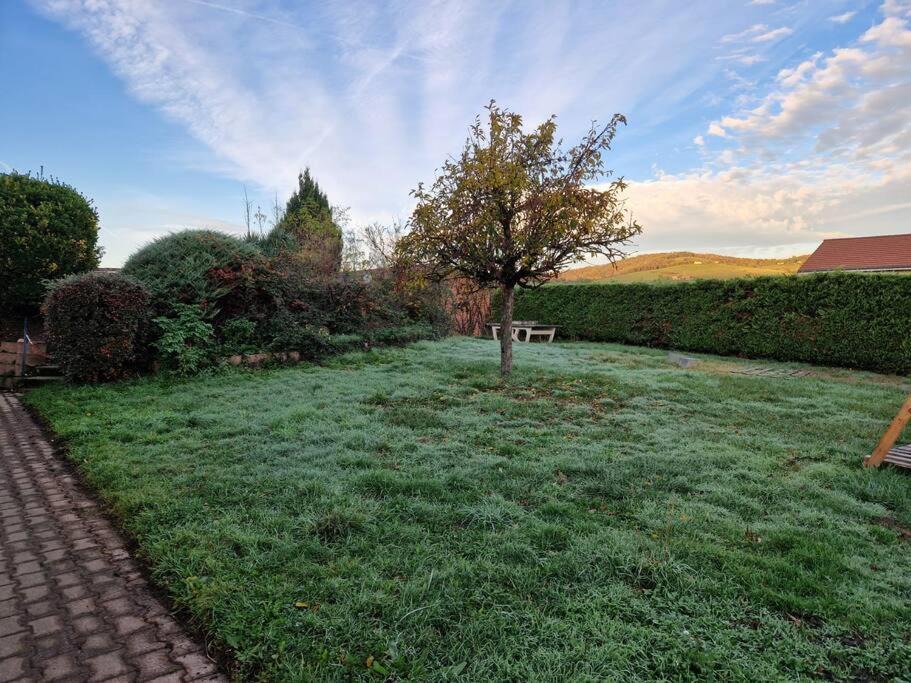 Photo of Others in Saint-Chamond