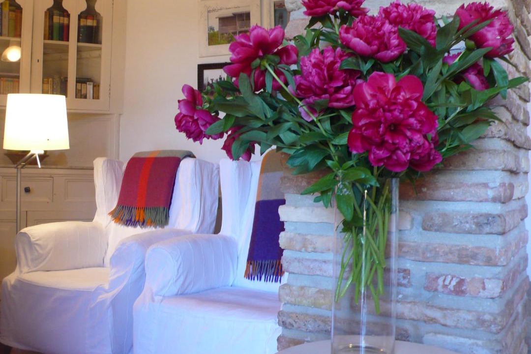 Photo of Livingroom in Azuelo