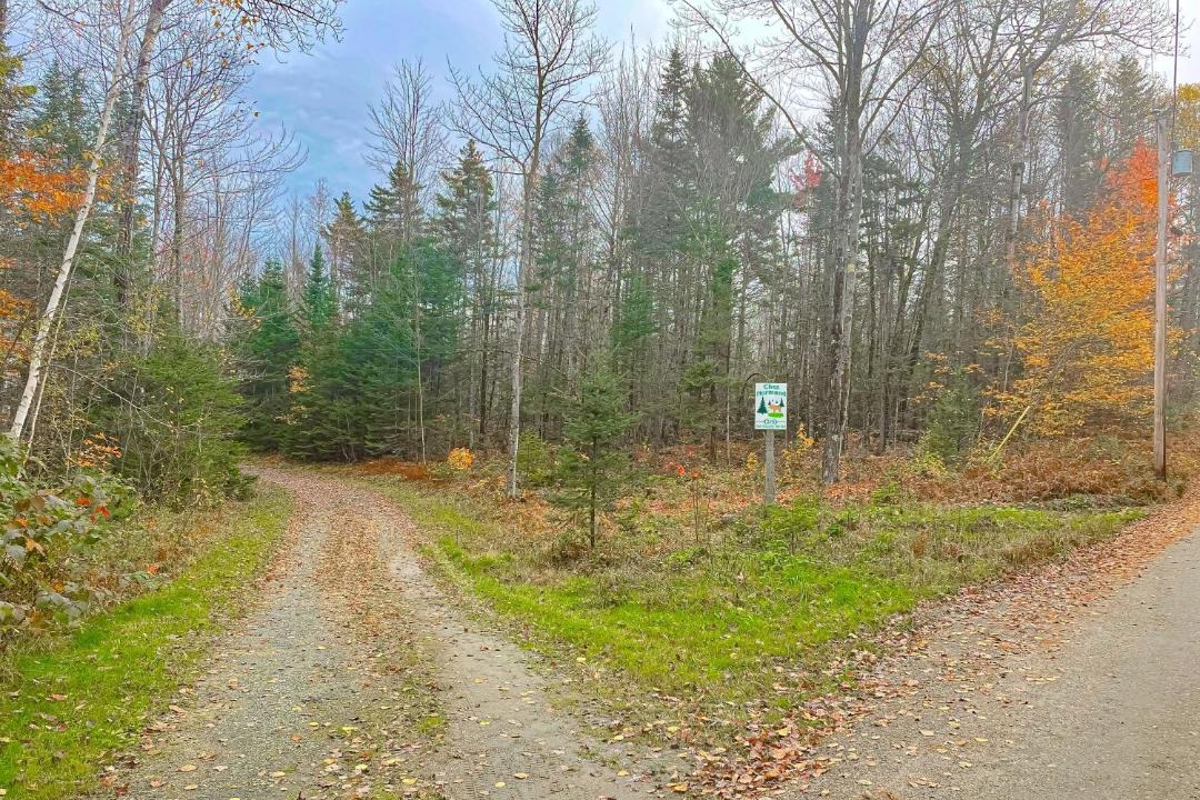 Photo of Others in Jefferson