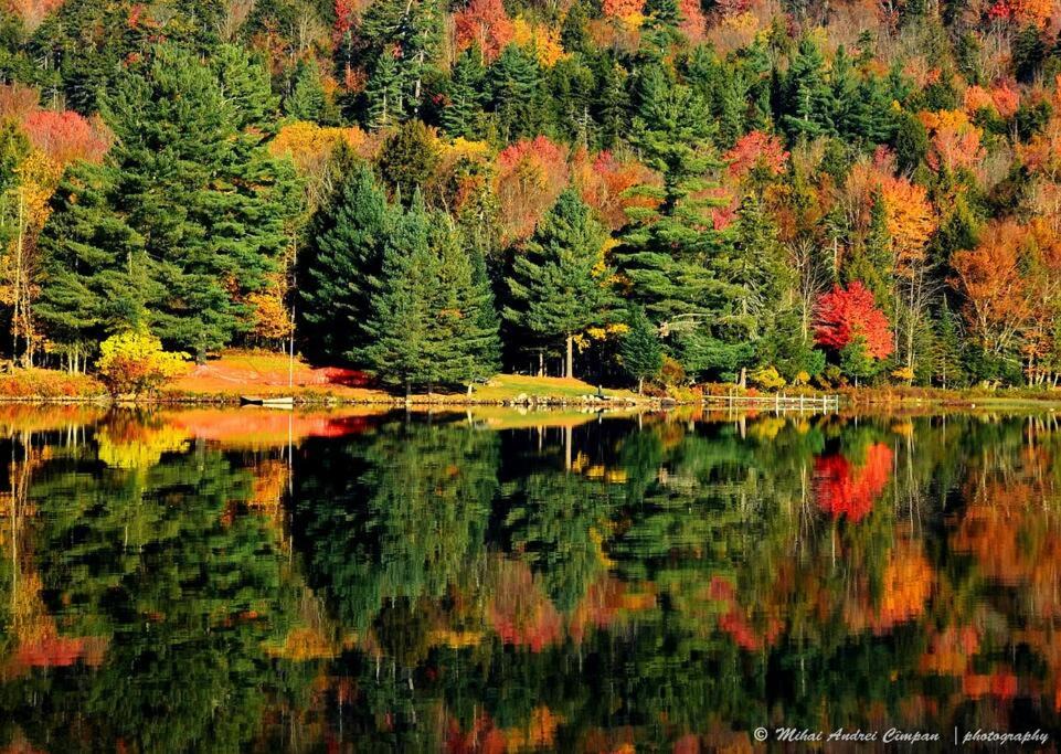 Photo of Others in Town of Webb