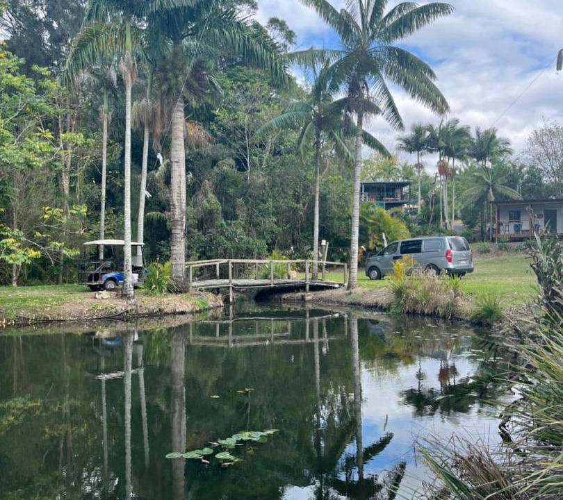 Photo of Others in Yandina