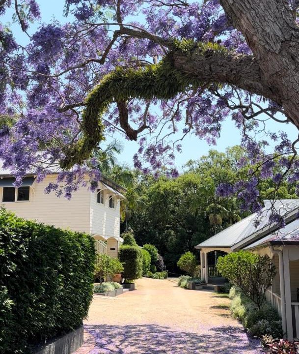 Photo of Others in Bangalow