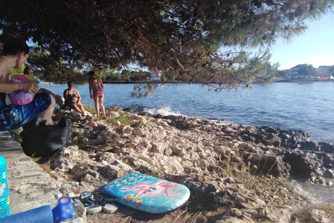 Photo of Others in Zaton