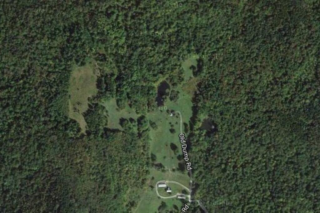 Photo of Others in Rochester