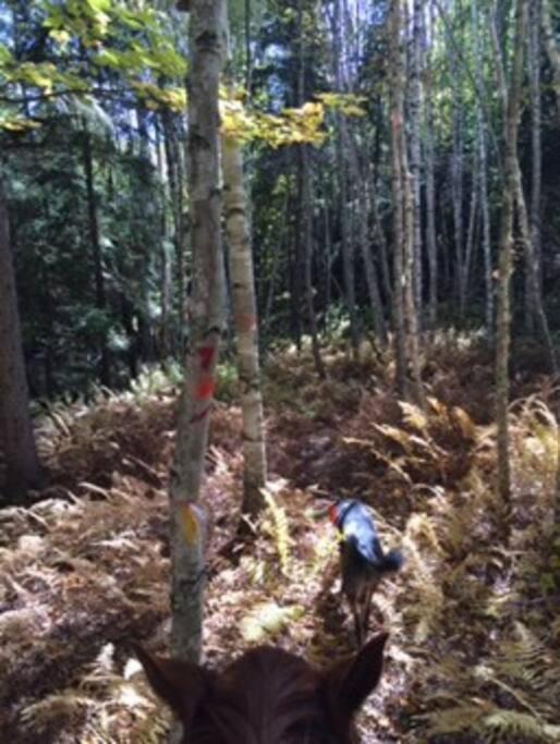 Photo of Others in Rochester