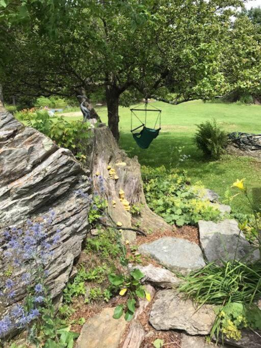 Photo of Others in Rochester