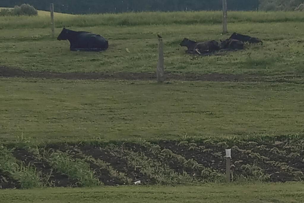 Photo of Others in Copenhagen