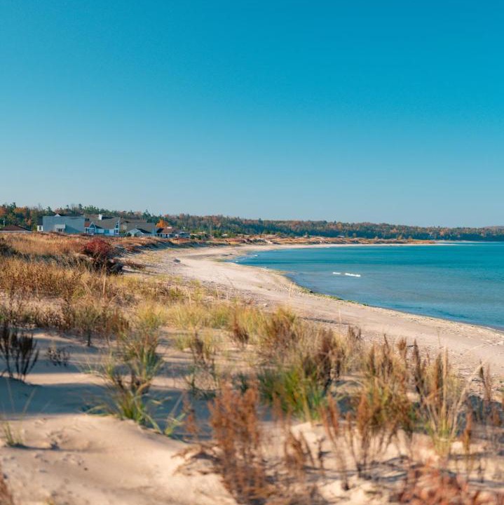Photo of Outdoor in Northport
