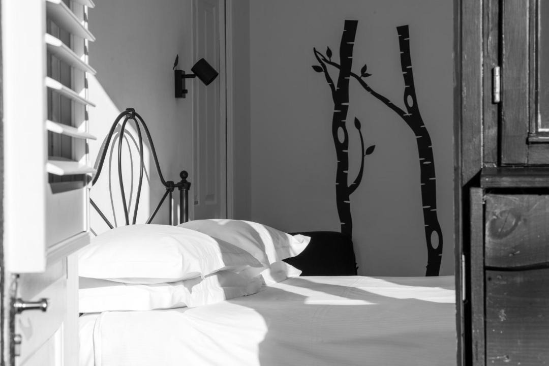 Photo of Others in New Forest District