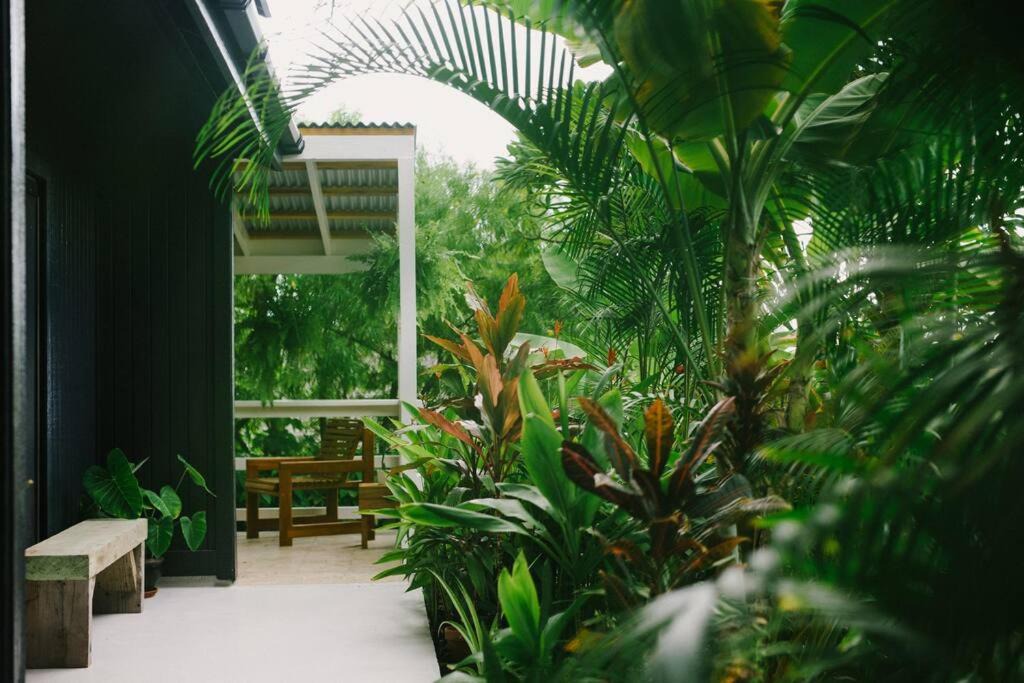 Photo of Others in Kahaluu Bay