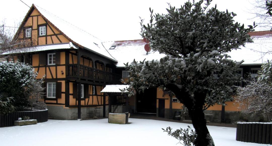 Photo of Others in Donnenheim