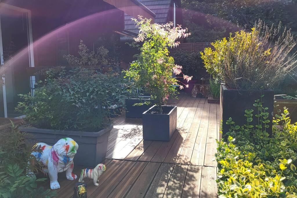 Photo of Others in Ourdy