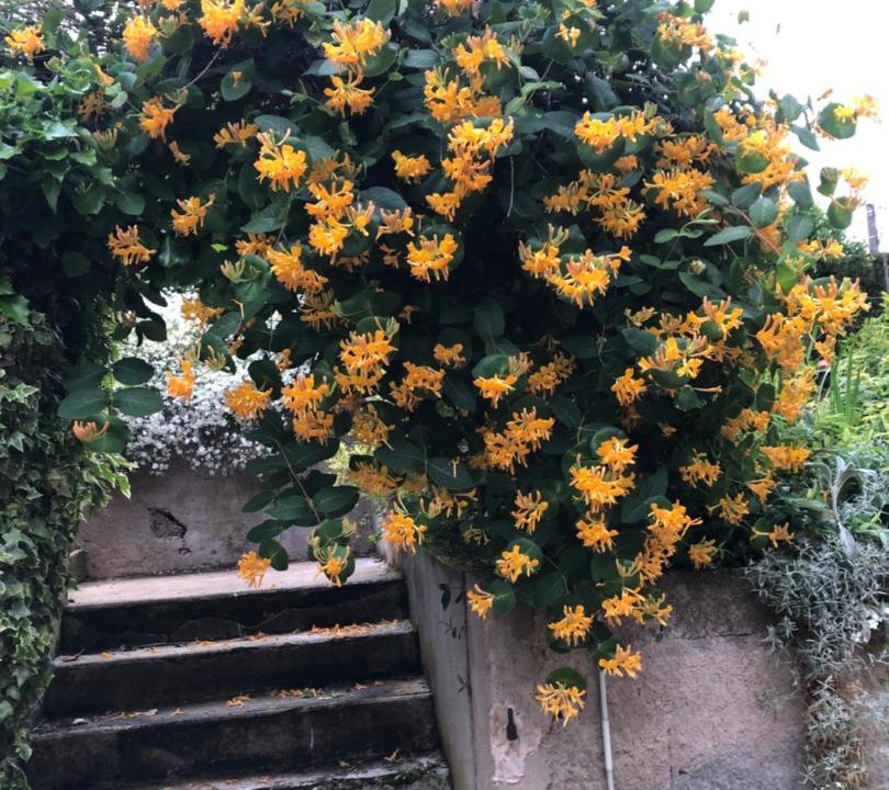 Photo of Others in Le Gue-de-Longroi