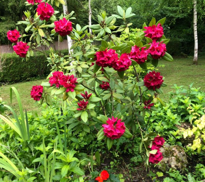 Photo of Others in Le Gue-de-Longroi