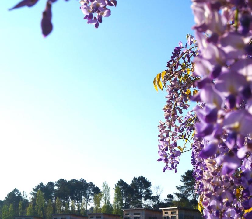 Photo of Others in Saint-Pardon-de-Conques