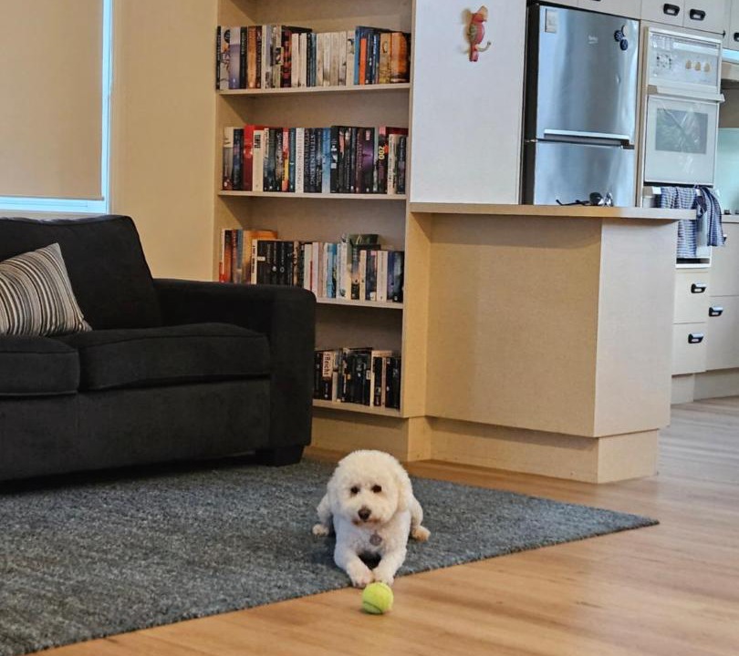 Photo of Livingroom in Lake Conjola