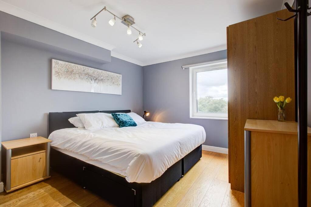 Photo of Others in Hale