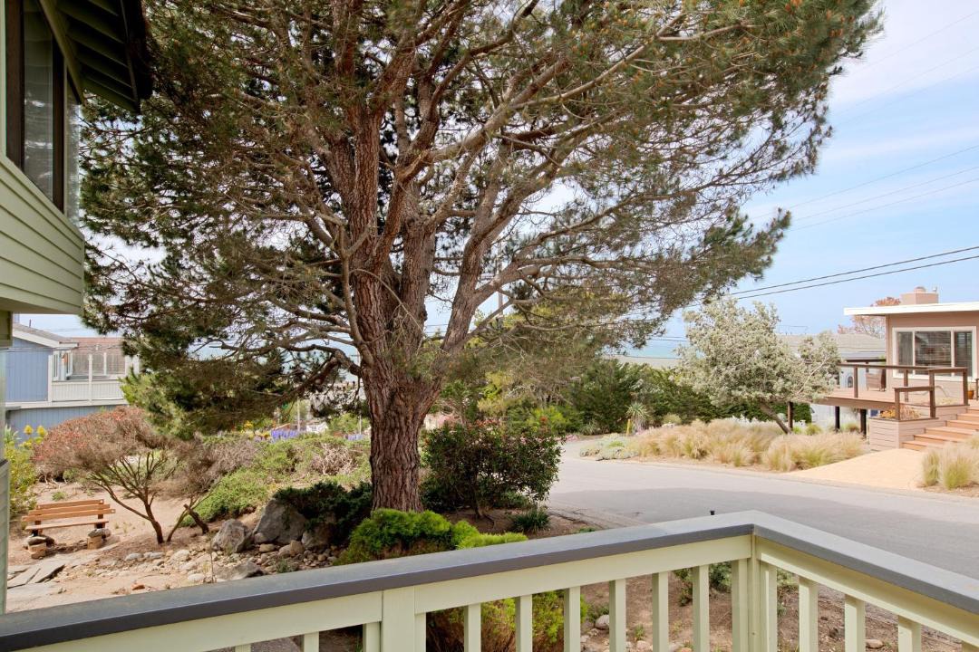 Photo of Others in Marine Terrace