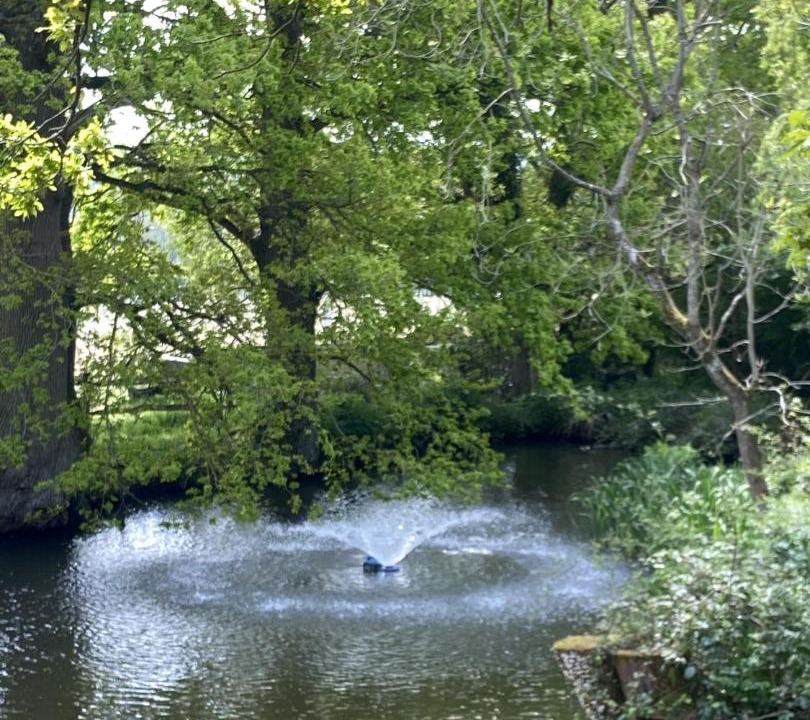 Photo of Others in Ewhurst Green