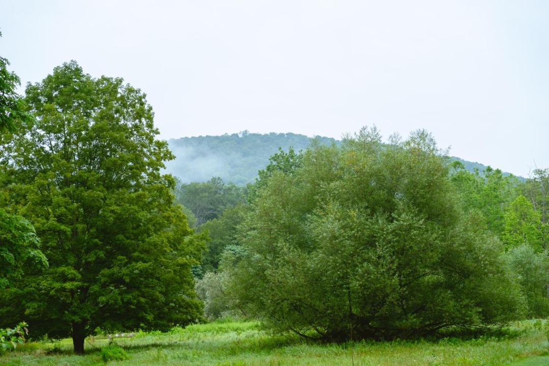 Photo of Others in North Branch