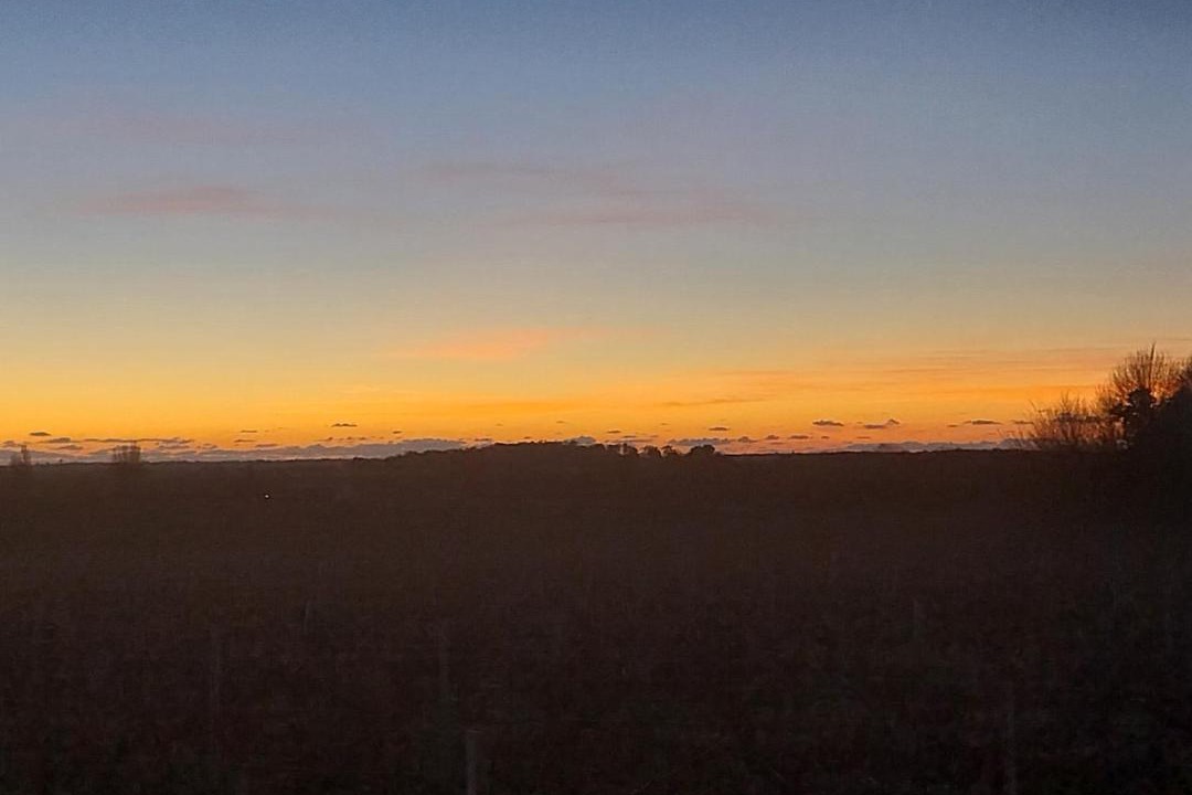 Photo of Outdoor in Saint-Seurin-de-Cadourne