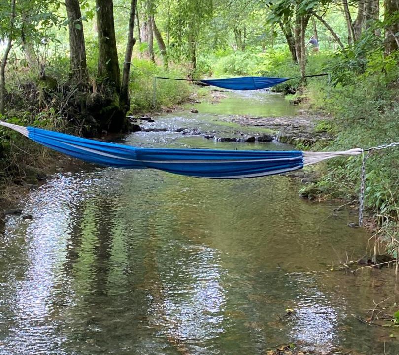Photo of Others in Estillfork