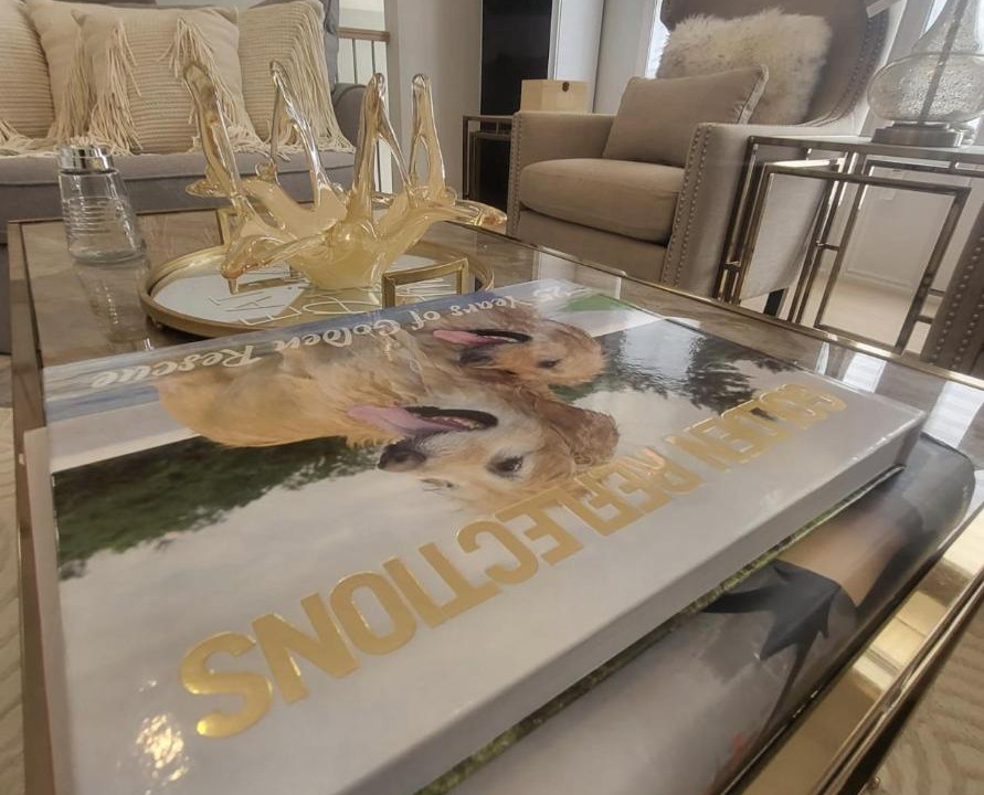 Photo of Others in Ottawa Division