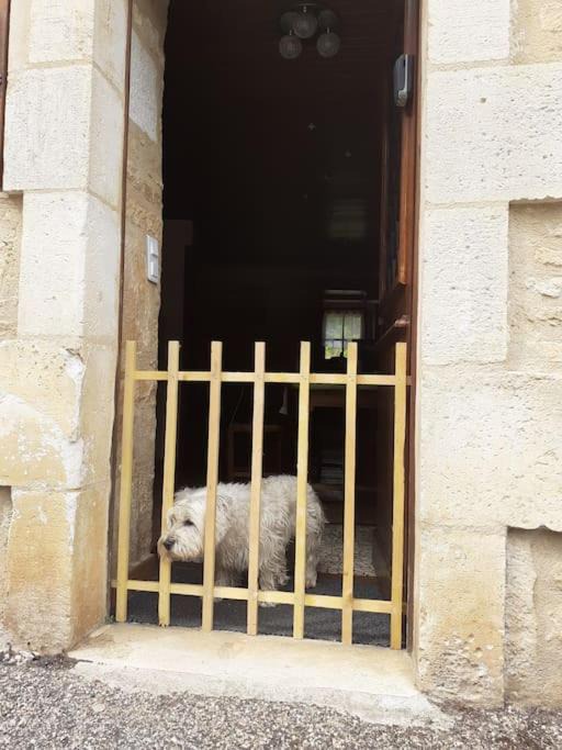 Photo of Others in Salignac-Eyvignes