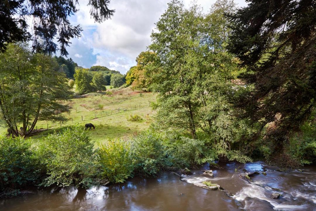 Photo of Outdoor in Masleon