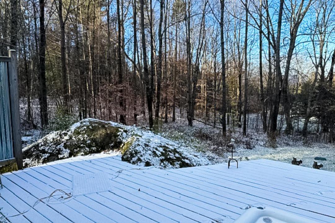 Photo of Others in Stowe Hollow