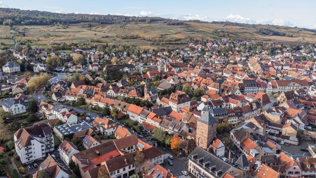 Photo of Others in Molsheim