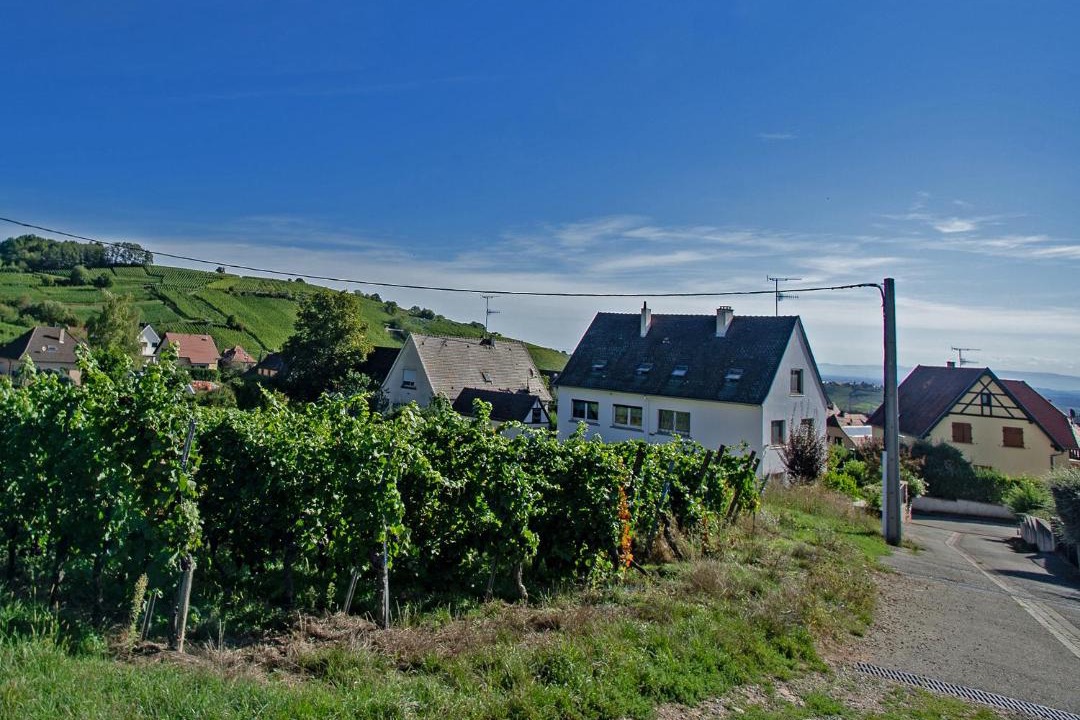 Photo of Others in Riquewihr