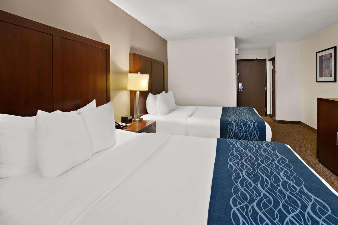 Photo of Others in Lacey