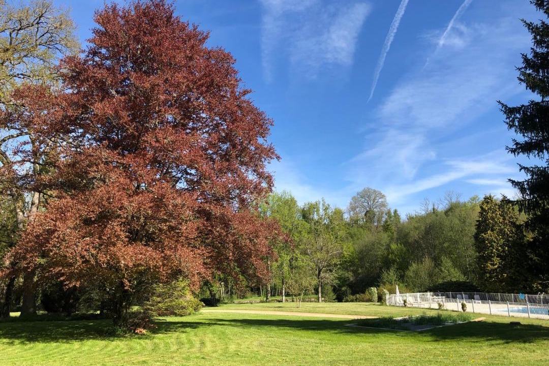 Photo of Others in Pont-et-Massene