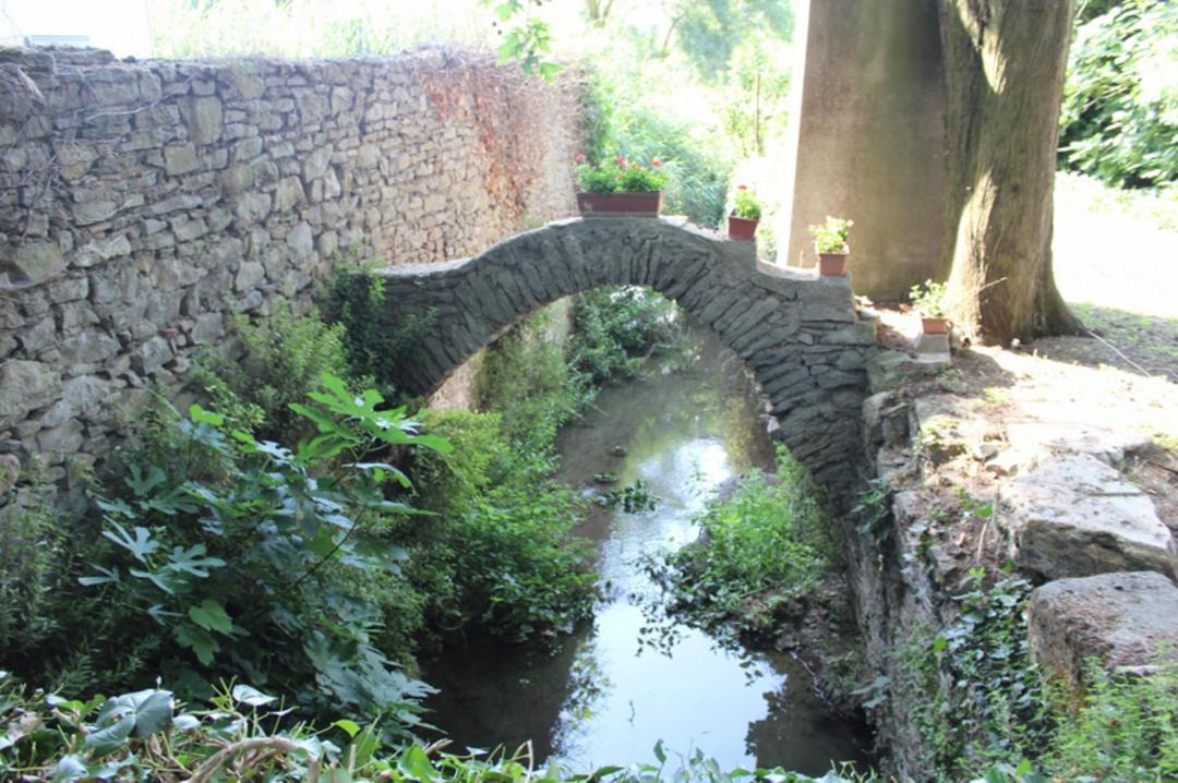 Photo of Others in Conques-sur-Orbiel